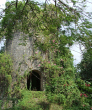 Abingdon mill, Jamaica