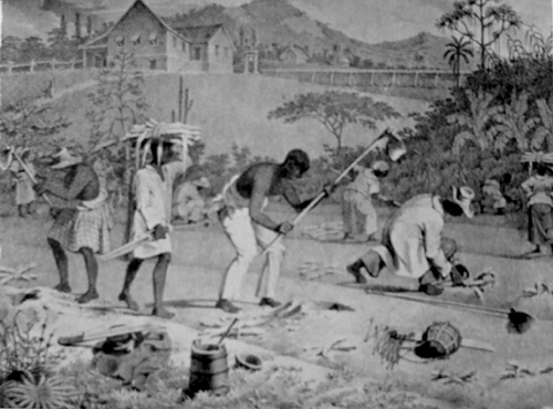 C18th Field Slaves, Jamaica